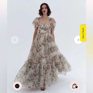 SELKIE Garden Rose Gown- size 2